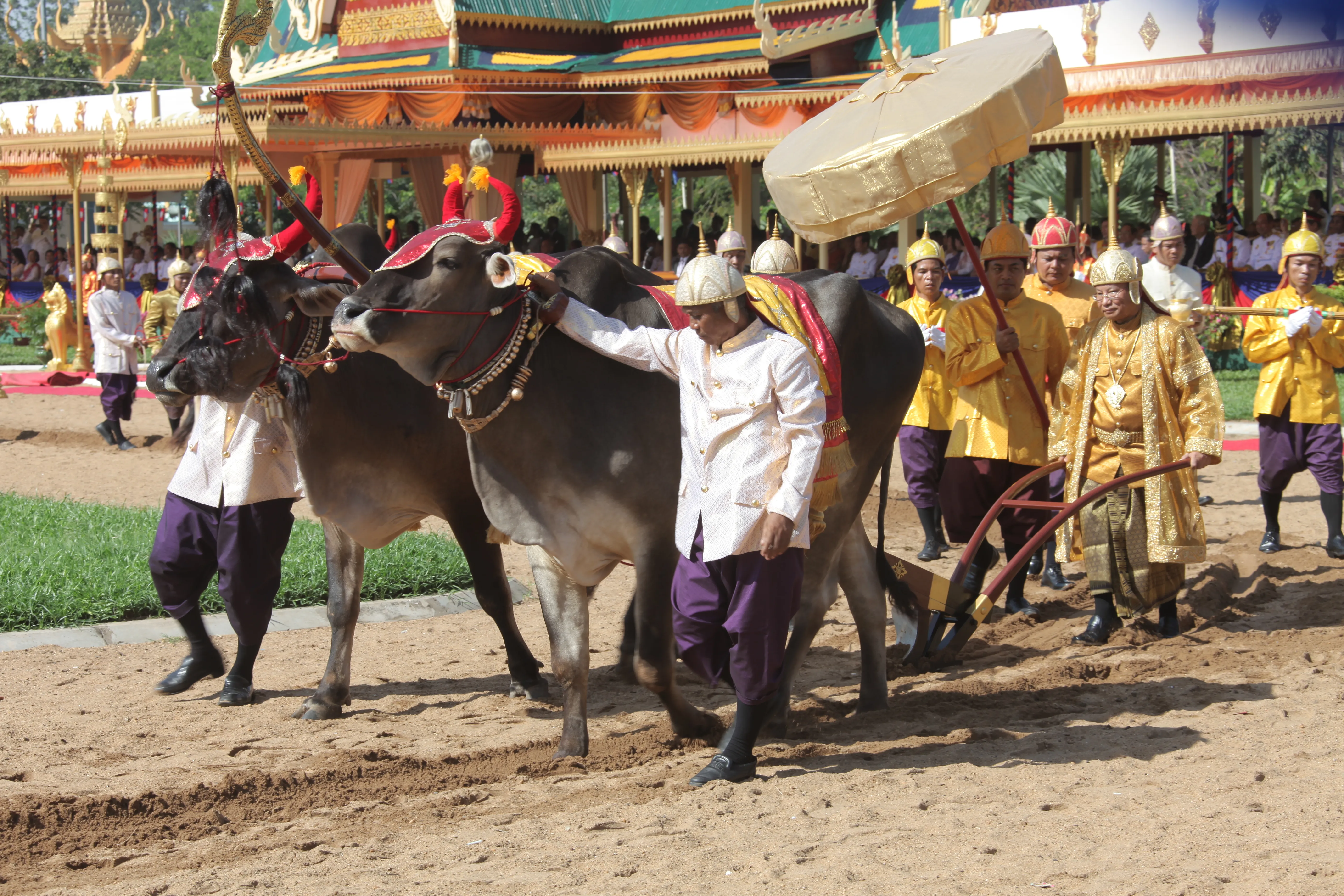 Cambodia In Depth